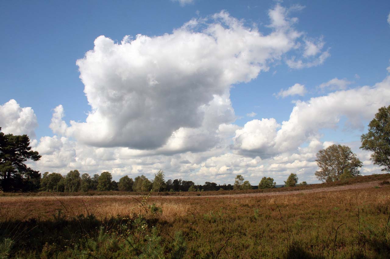 Lüneburger Heide Panoramblick mit Himmel und Wolken