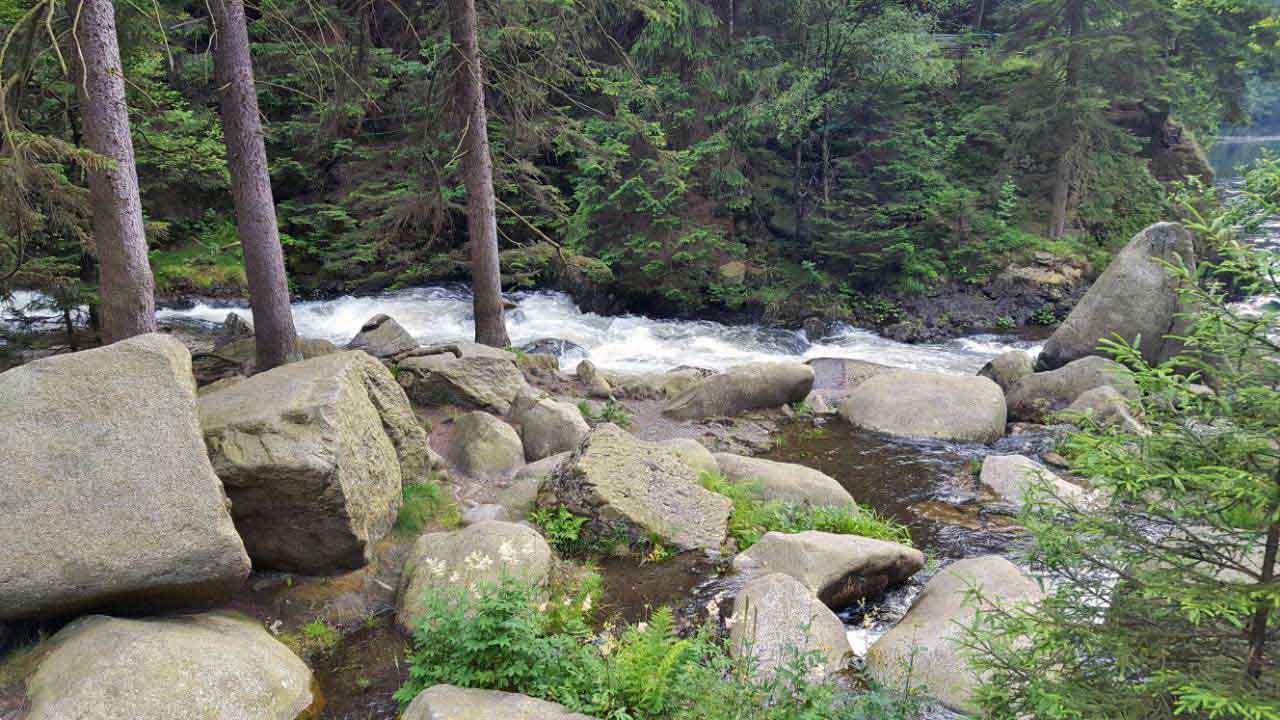 Fluss im Harz
