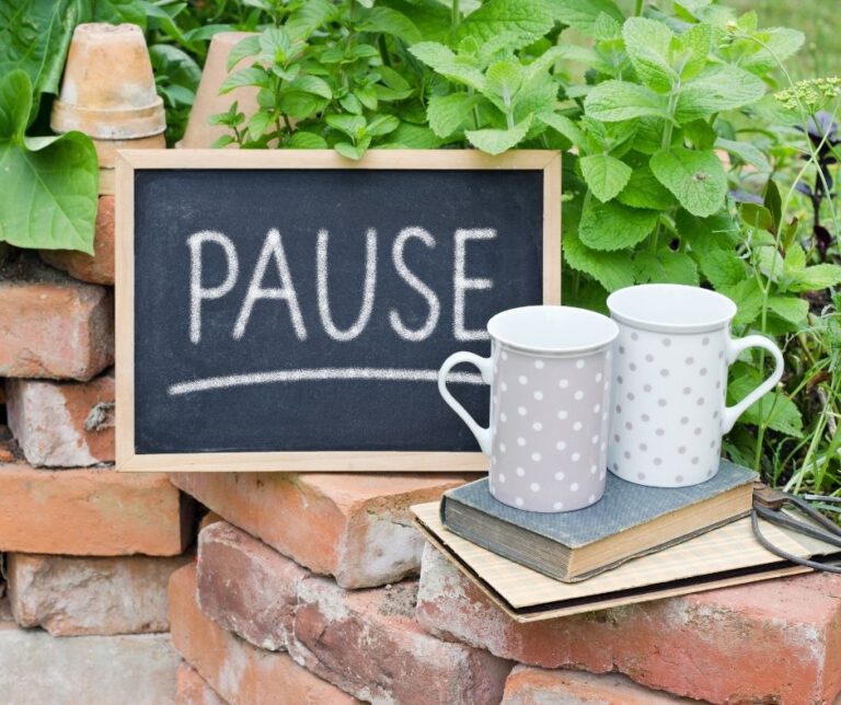 47+ Witzige Sprüche Pause, Hier werden täglich witze und sprüche gepostet!