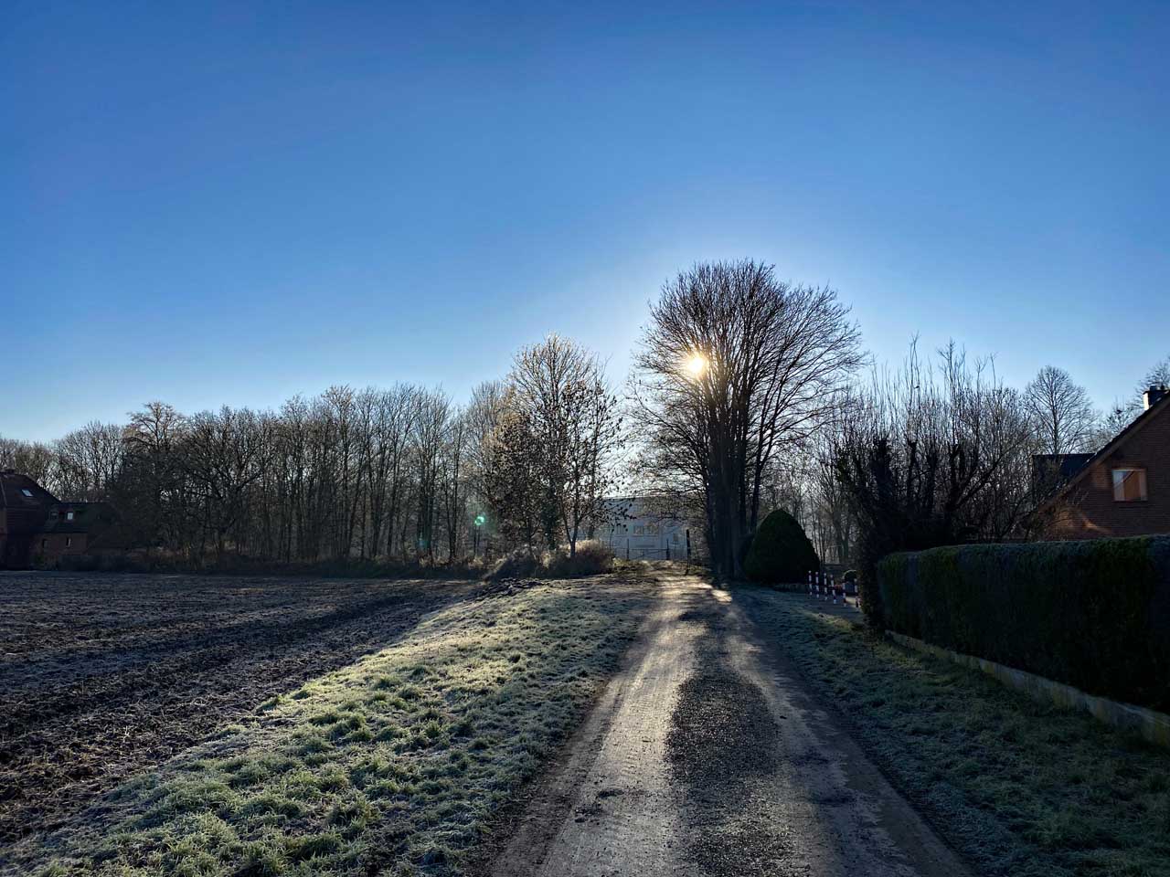 Frost, Frühling und 2 Hühner