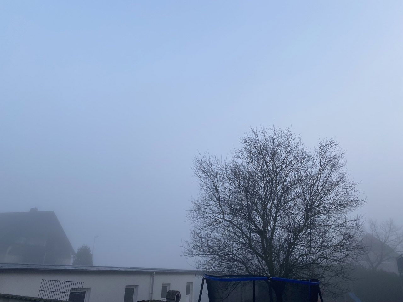 Nebelige Morgenstimmung beim Nachbarn