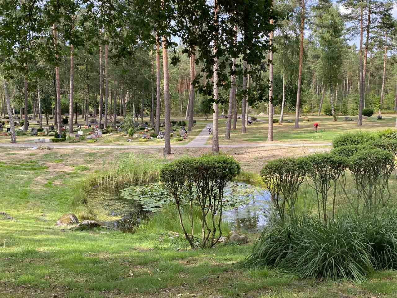 Waldfriedhof Soltau im Sonnenschein