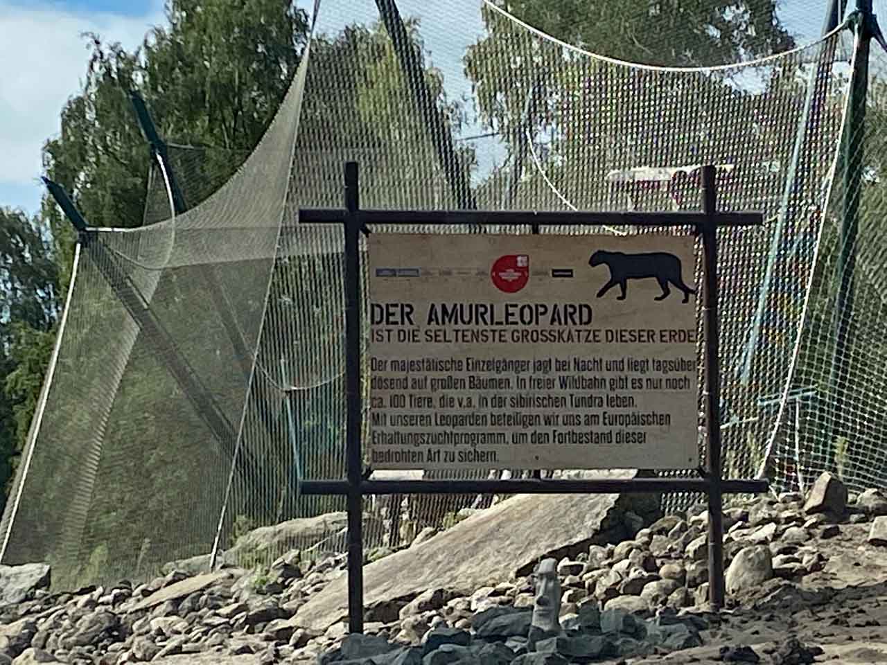 Amurleopard Hinweistafel
