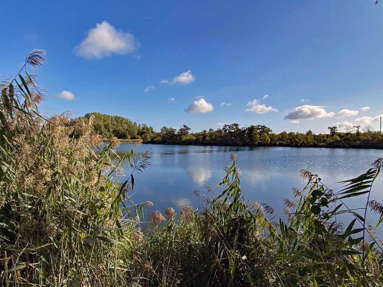 Herbstspaziergang