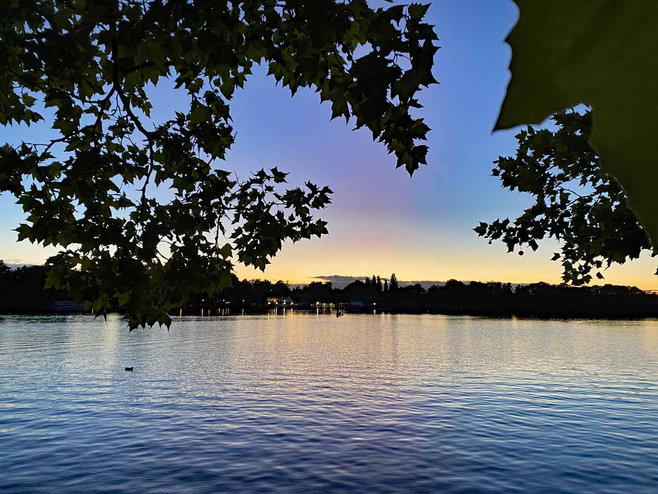 Sonnenuntergang am Maschsee