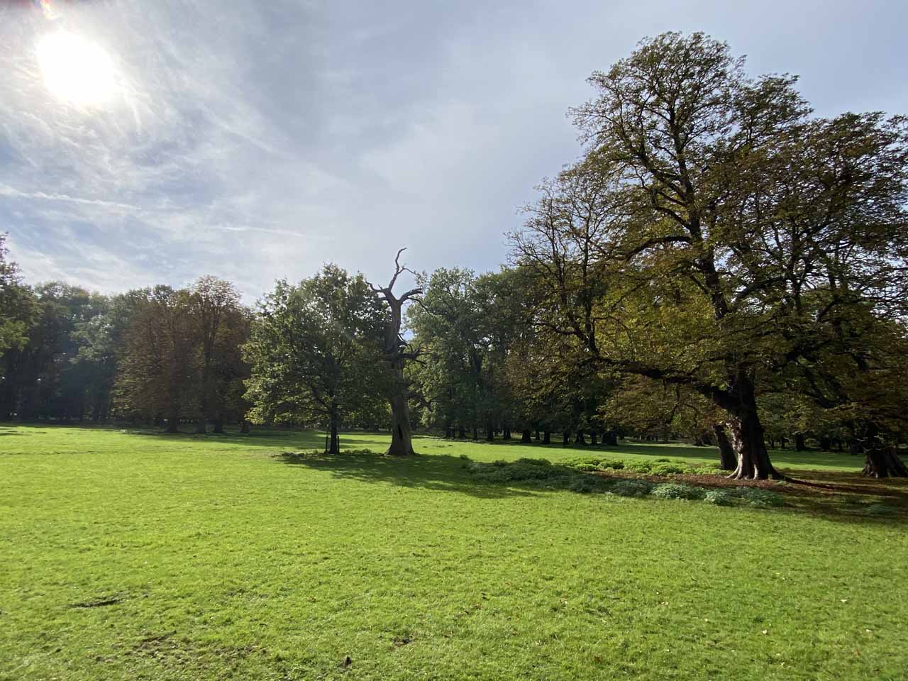 Tiergarten Hannover Baumbestand