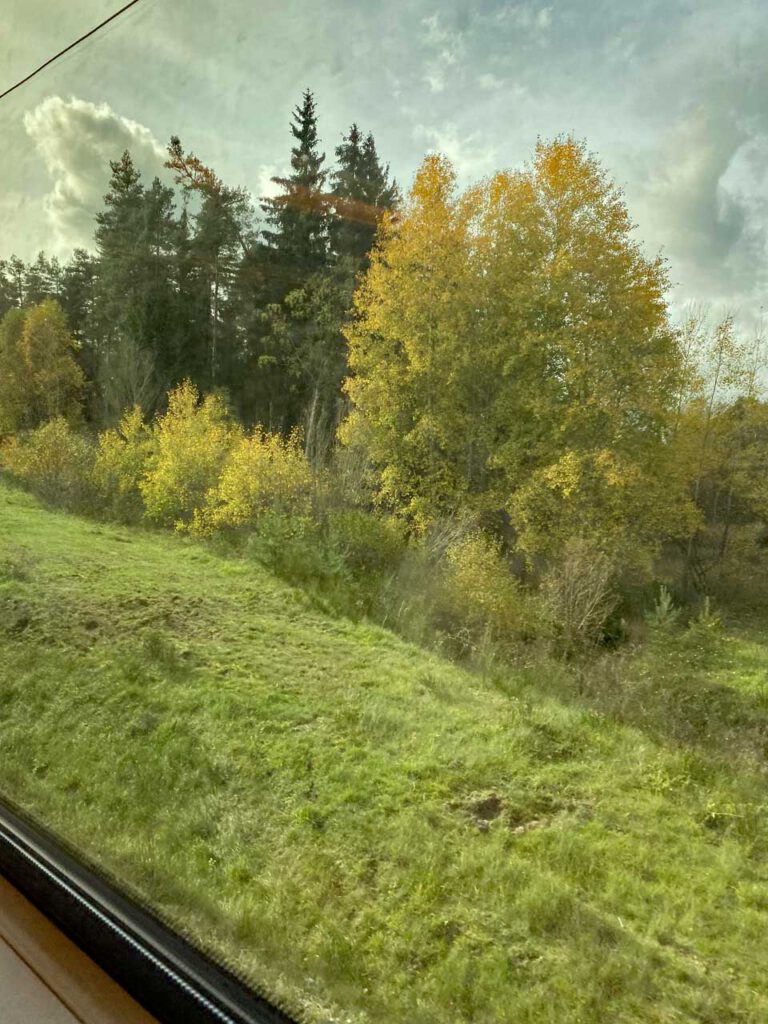 Unterwegs im Zug
