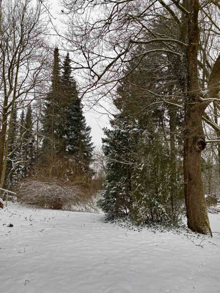 Garten in Zellerfeld im Winter
