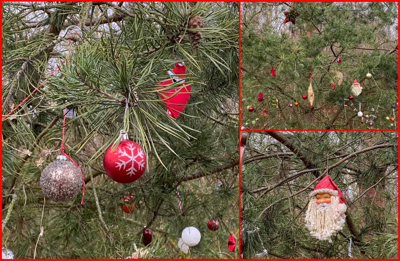 Nach Weihnachten ist vor Weihnachten