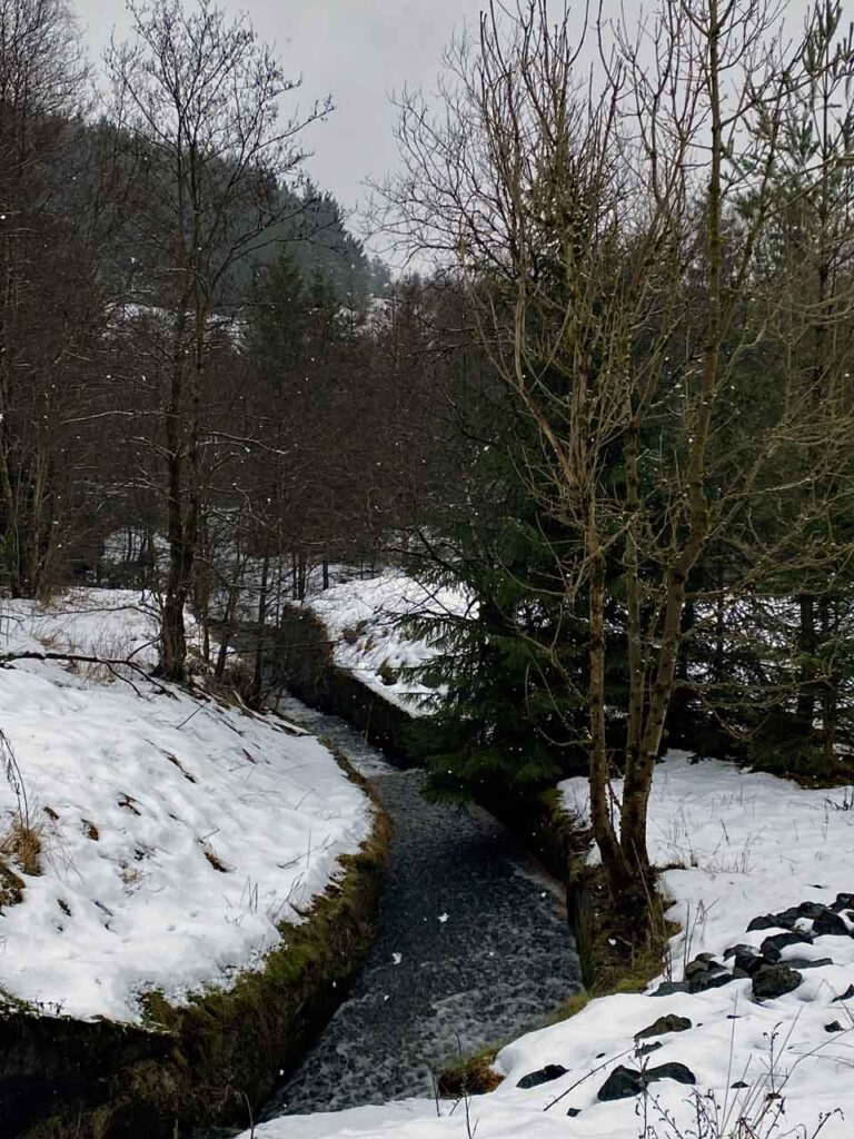Winterwald und Fluss