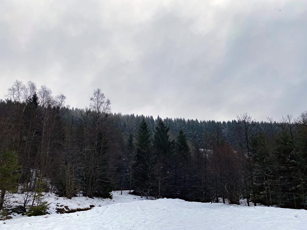 Monatsspaziergang im Schnee