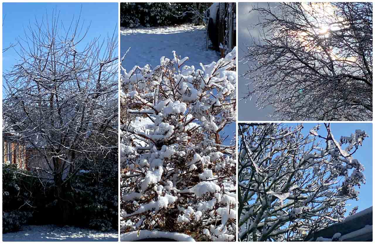 Schnee Regen und doch zu Trocken