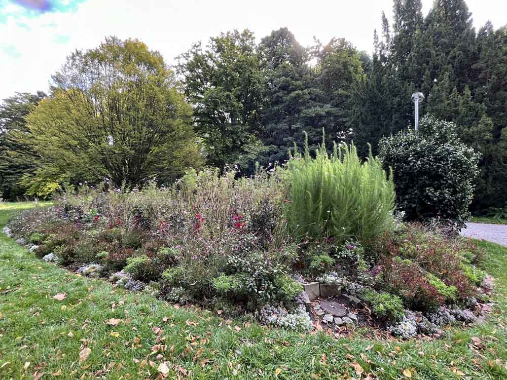 Blumenrabatte Blumenbeet mit Herbstblühern im Georgengarten