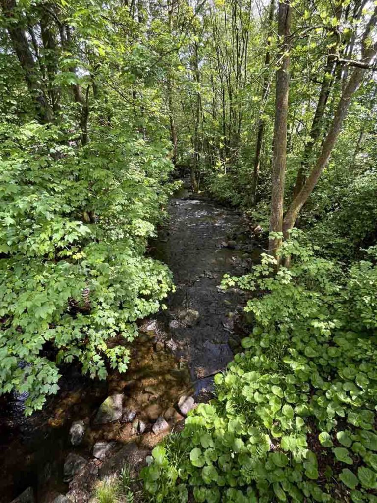 Bode Fluss in Braunlage