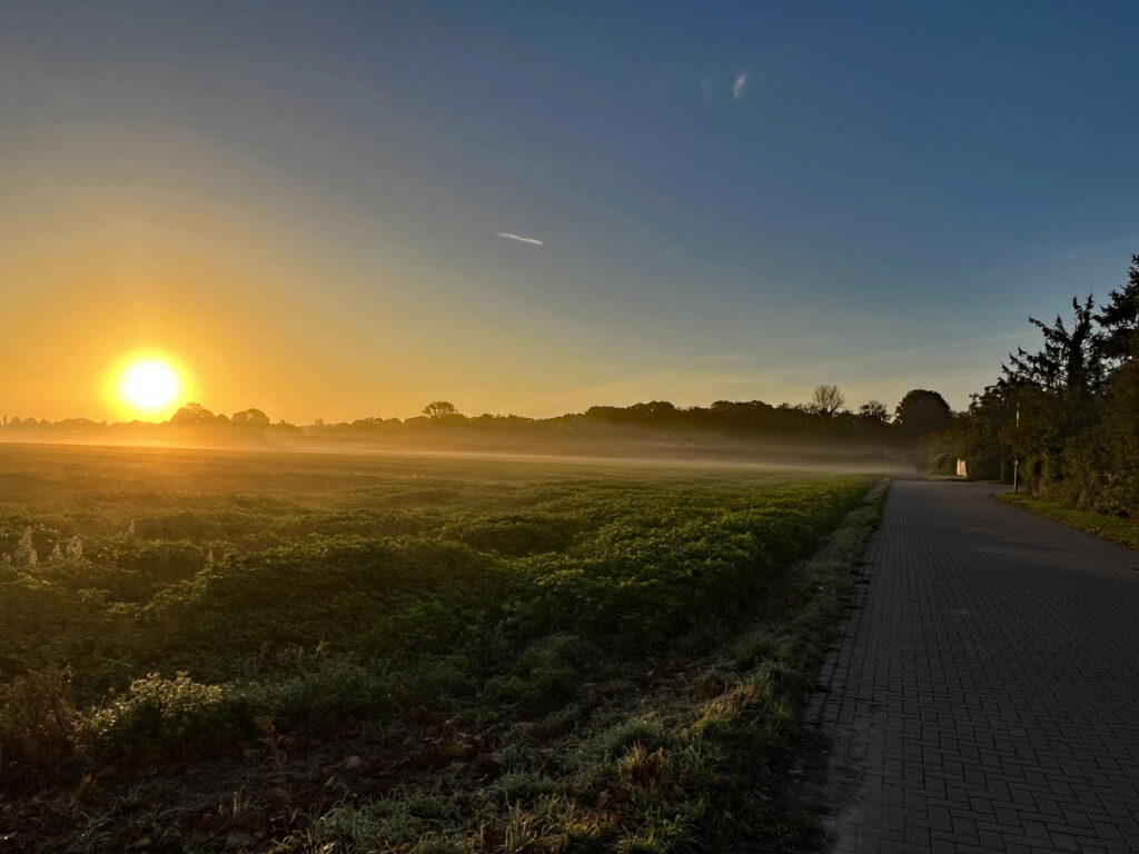 November Farben Nebel Dunst und Indian Summer