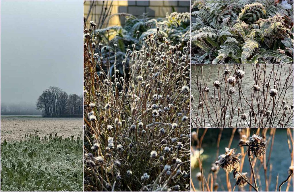 Collage Winterimpressionen vom Land