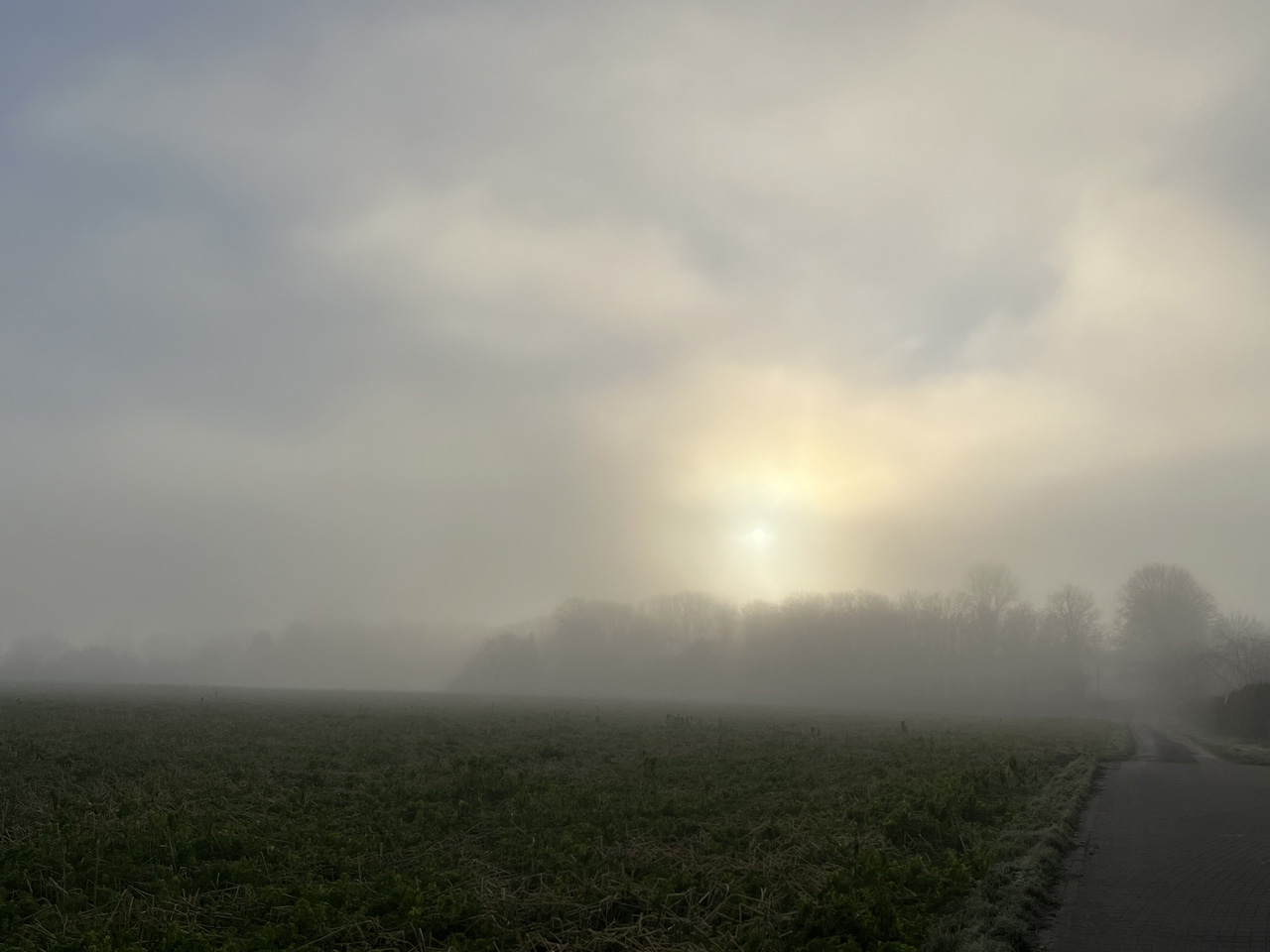 Zwischen Winter und Frühling