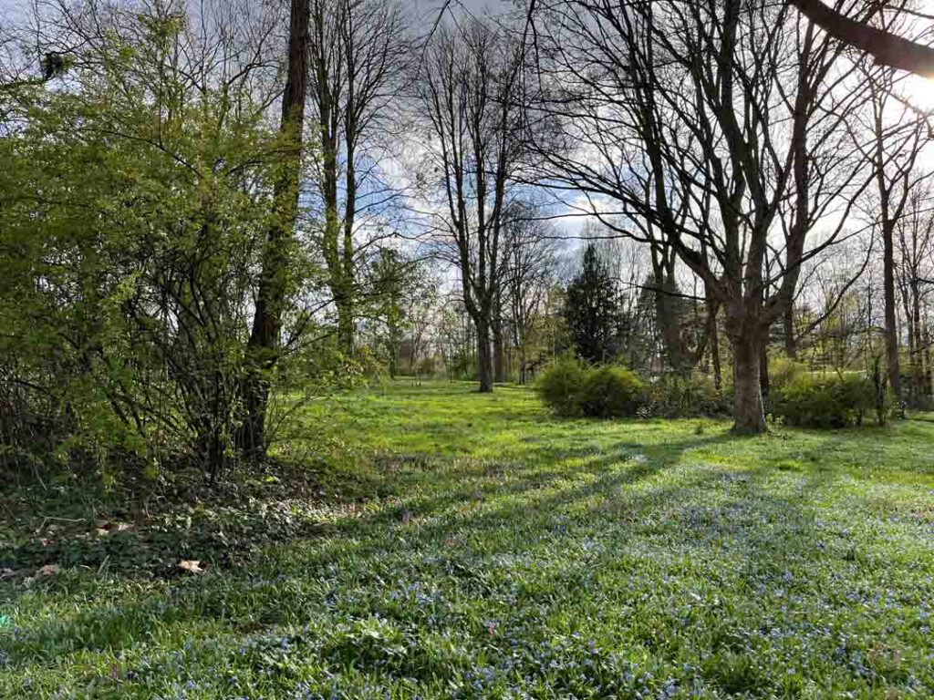 Lindener Bergfriedhof