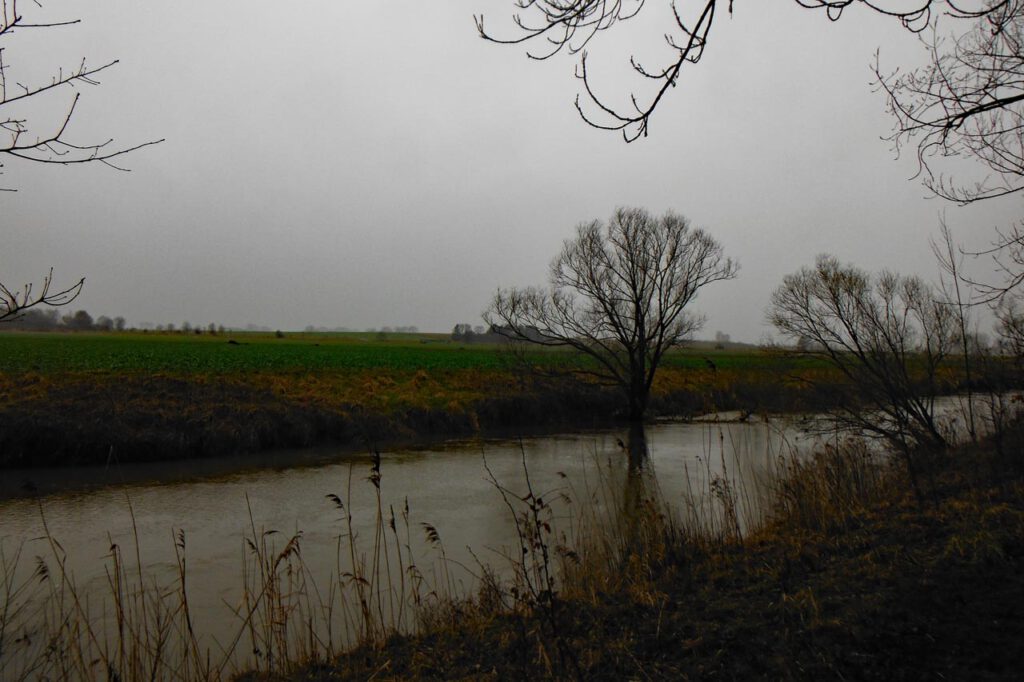Innerste im Herbst und Regen
