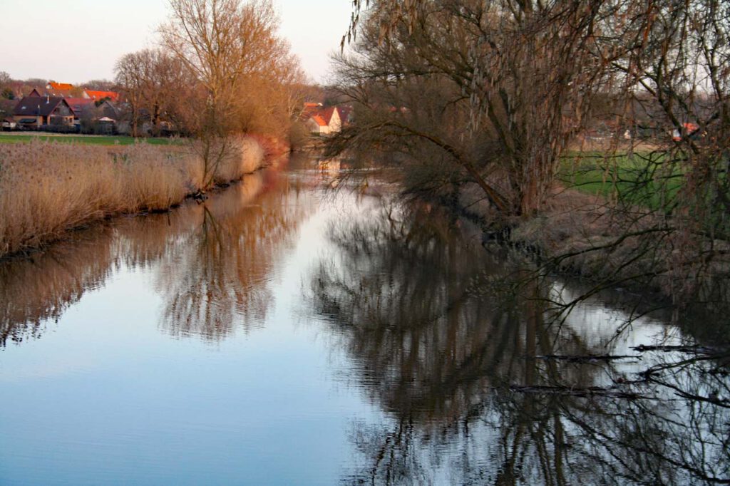 Innerste im März Frühling
