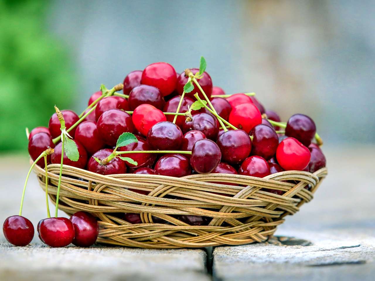Ich bin nicht weg ich bin im Garten bei den Kirschen