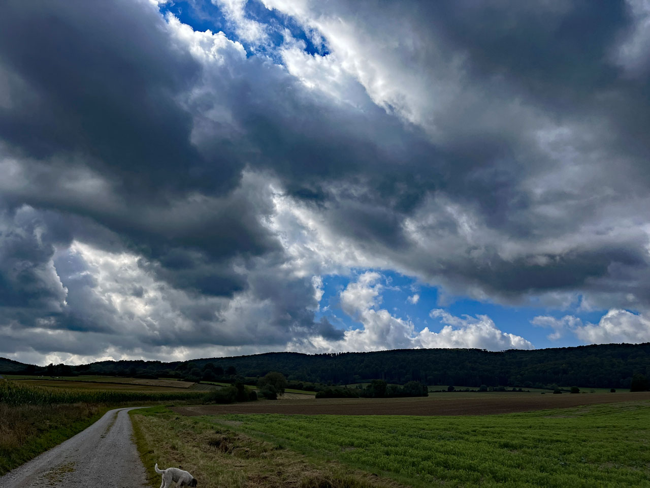 Optimismus beim Blick in dunkle Regenwolken