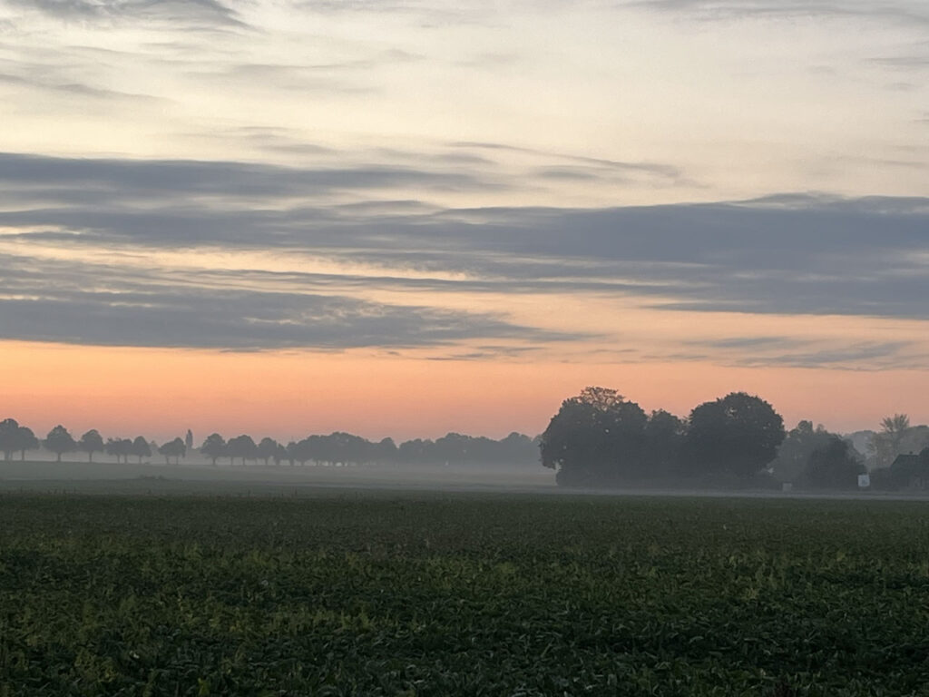 Morgendämmerung im Oktober