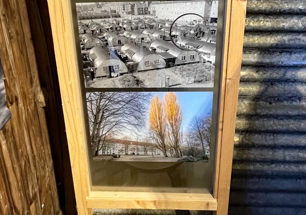 Nissenhütte Pappeln noch heute in Hamburg