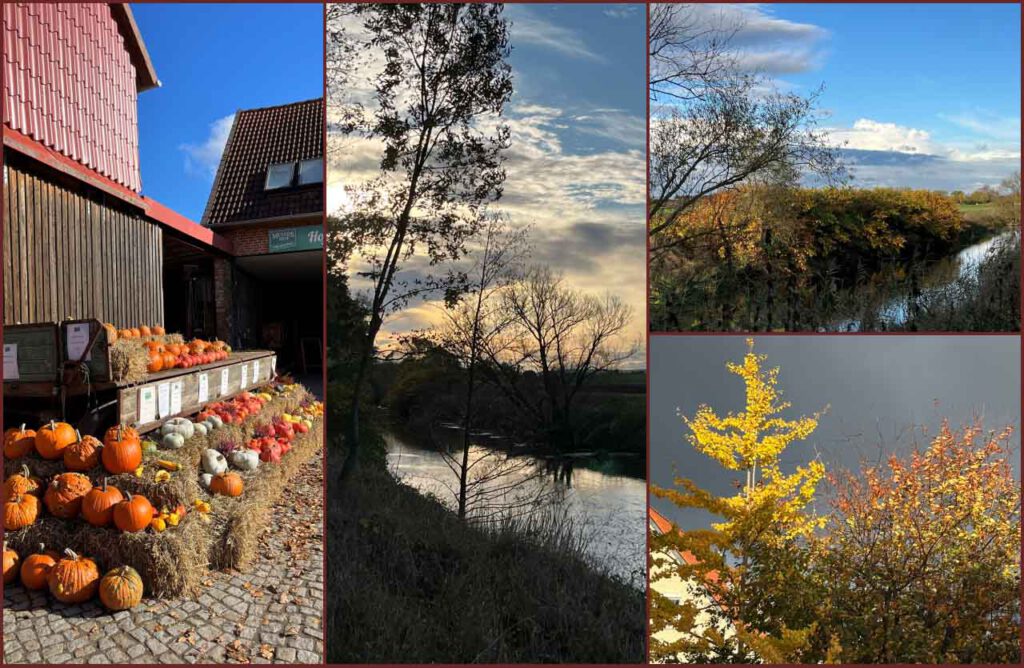 Herbst Kürbis Collage