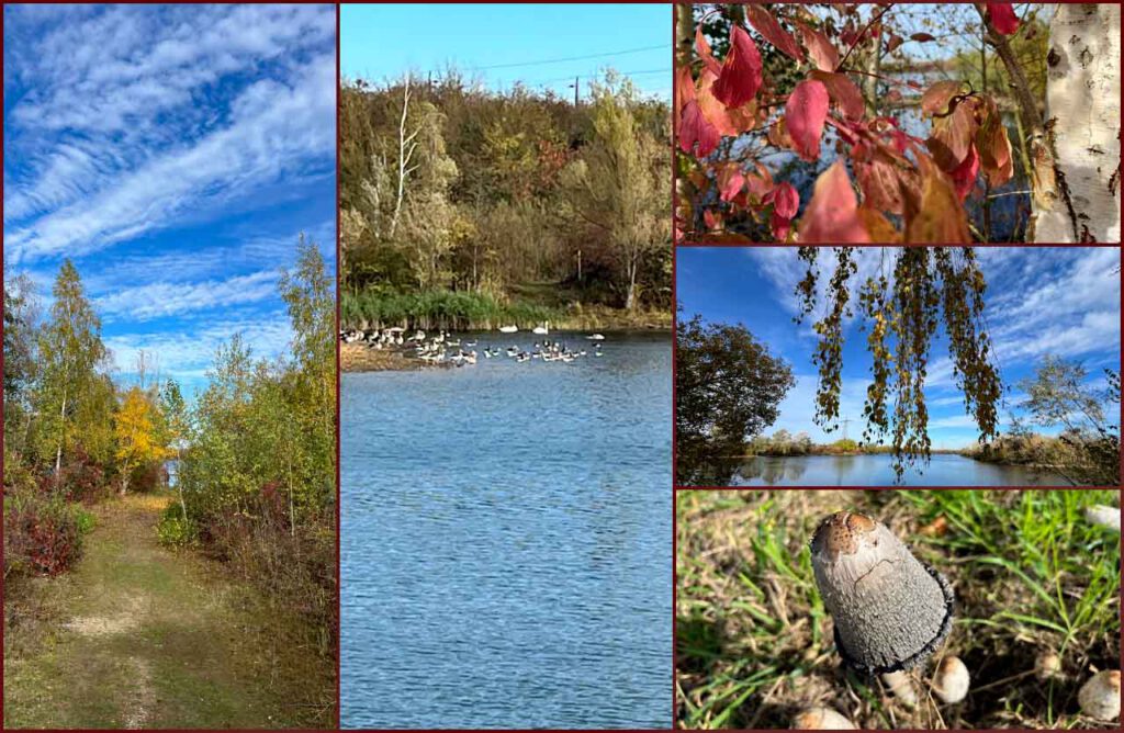 Herbst Collage