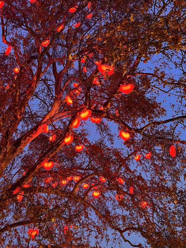 Bussibaum Herzen an einem Baum beim Weihnachtsmarkt in Wien