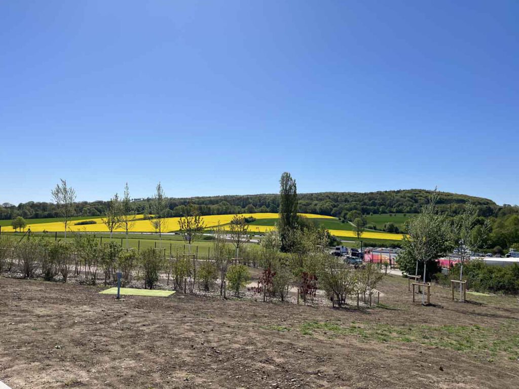 Weitblick von der Landesgartenschau zu Rapsfeldern