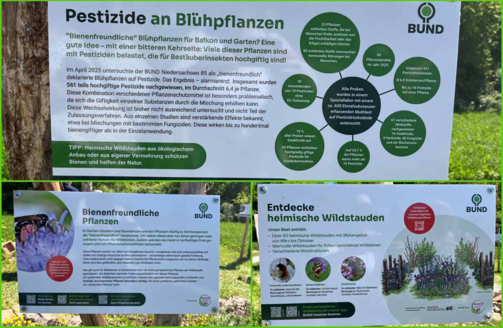 Infoschilder Garten und Blumen Collage