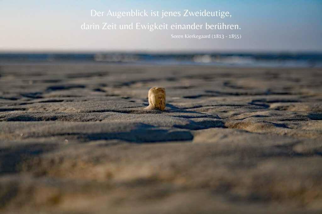 Muschelfoto im Hintergrund Watt und Horizont am Strand von SPO mit einem Zitat von Sören Kierkegaard